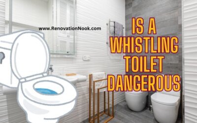 is a whistling toilet dangerous