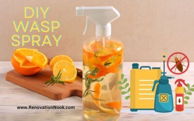 diy wasp spray