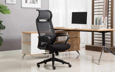 office chair item 184782 lane