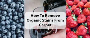 How to remove blueberry stain from carpet