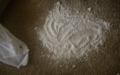 baking soda to dry car carpet