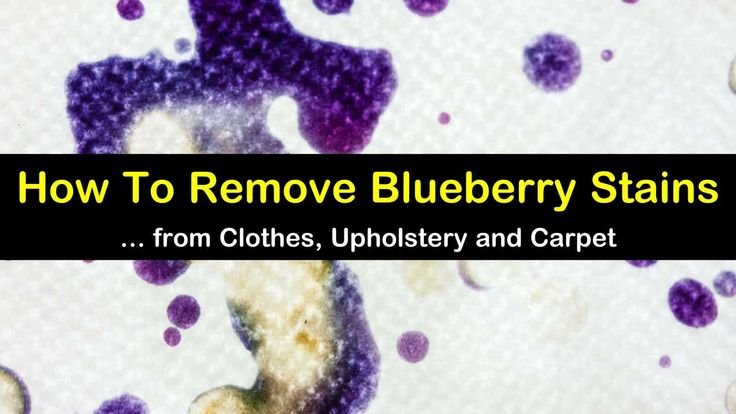 how to remove blueberry stain from carpet