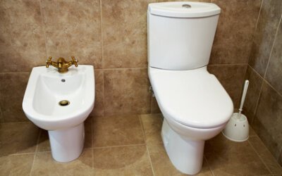 toilet bowl water level recedes after flushing