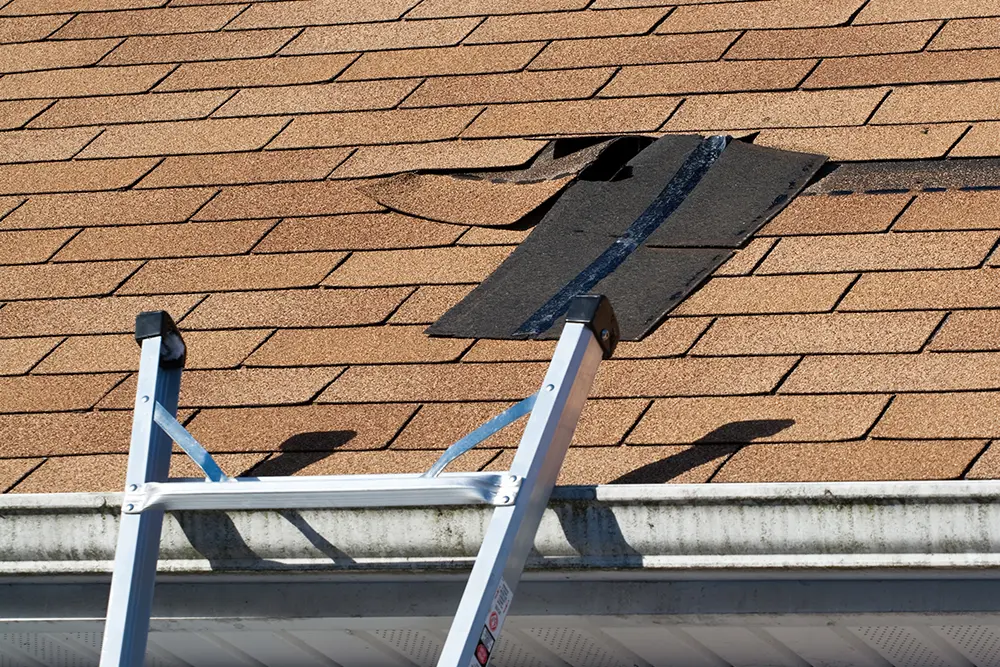 roof leaking but shingles look good