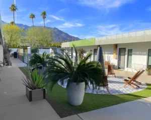 mahala palm springs